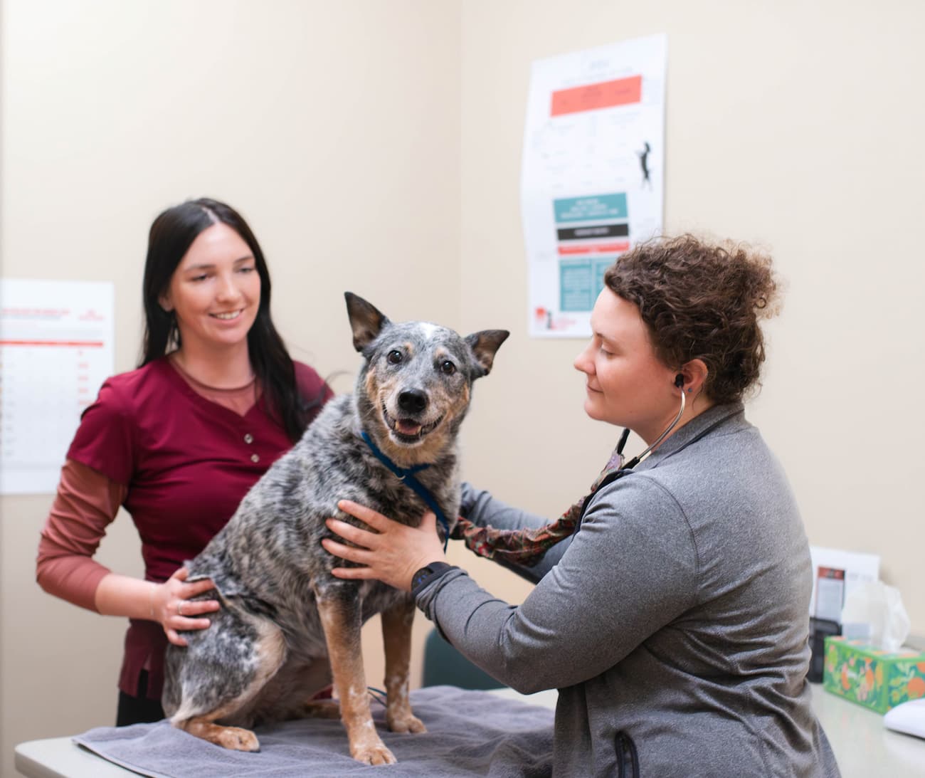 Dental Services Image